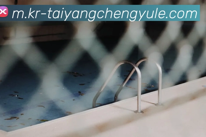 多媒体互动体验