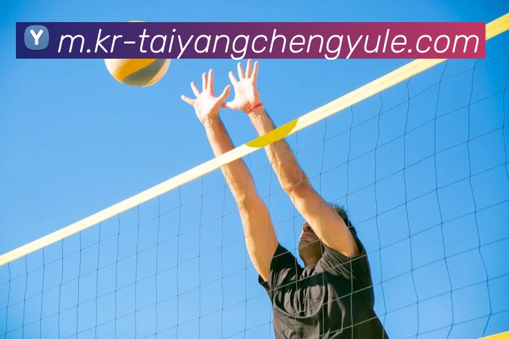 澳门太阳城官网APP 高清赛事图